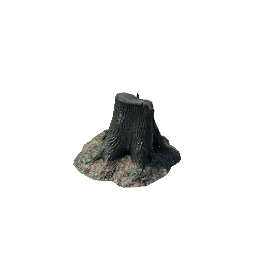 Tree Stump 002